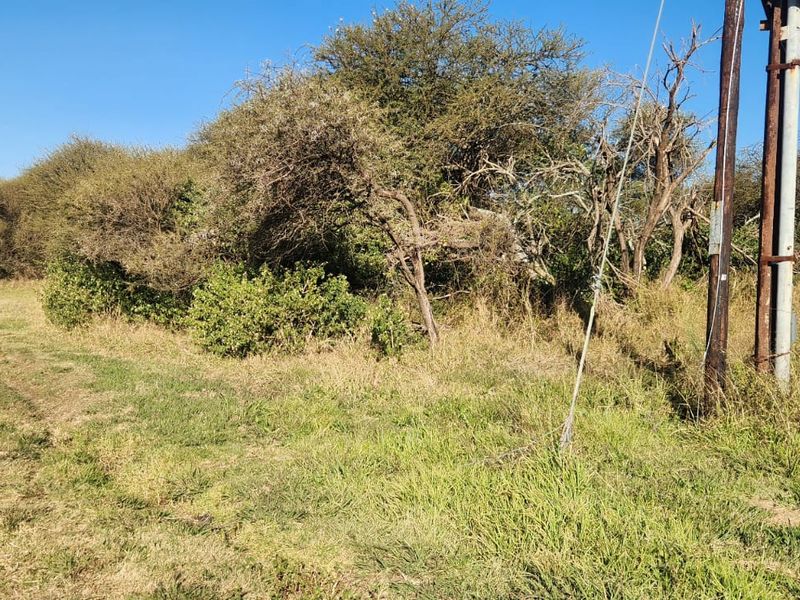 25 Hectares Irrigated Land for sale - Photo 7