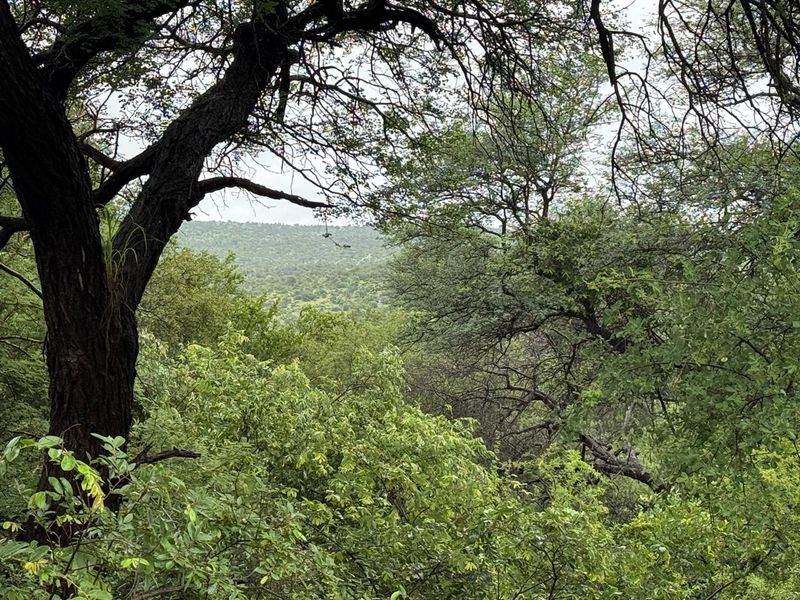 Beautiful stand in Elephant Eco Estate - Photo 3