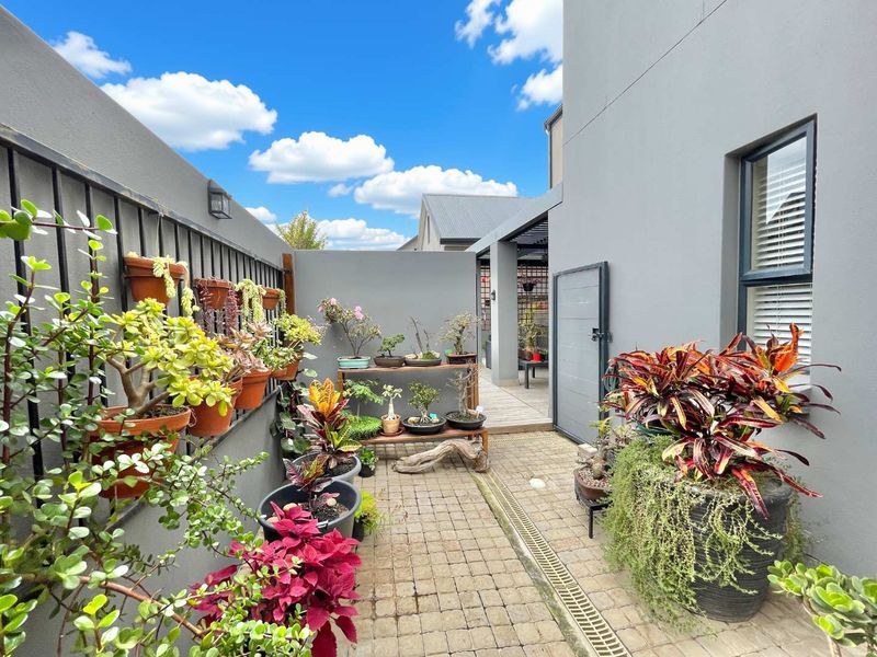 A well-maintained paved rear courtyard featuring a drainage channel, timber decking transition, and secure boundary fencing.