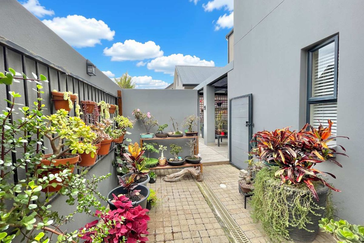 A well-maintained paved rear courtyard featuring a drainage channel, timber decking transition, and secure boundary fencing.