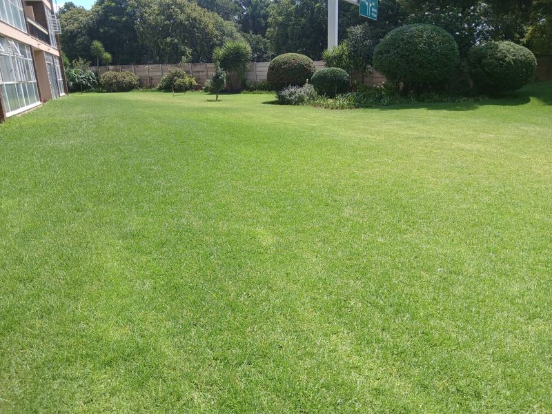 A well-maintained, expansive communal lawn area featuring established landscaping and a secure precast concrete boundary wall.