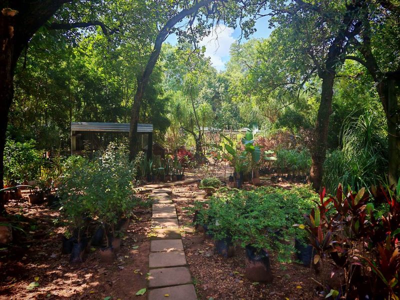 Established Plant Nursery Business For Sale. - Photo 10