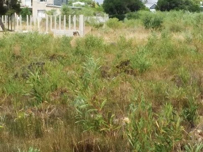 A Haven to Hold - Photo 7