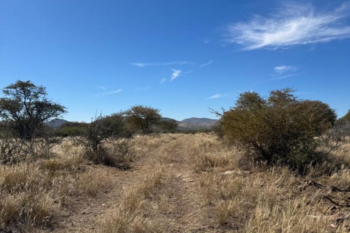 An expansive view of the natural veld landscape on the small holding, featuring indigenous shrubs and a dirt access track.
