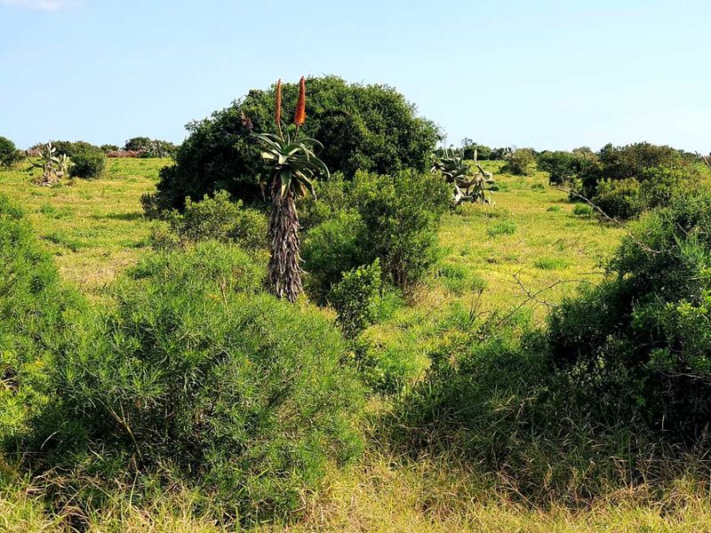 LIFESTYLE FARM FOR SALE - Photo 5