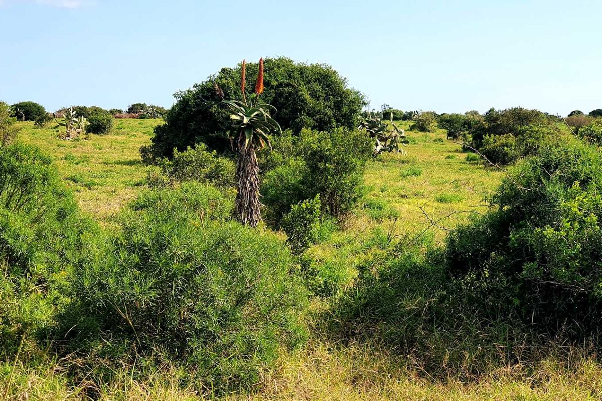 LIFESTYLE FARM FOR SALE - Photo 5