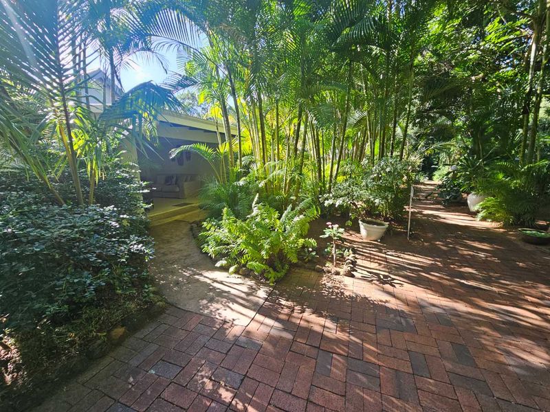 For Sale: 50% Shares in a 7-Bedroom B&B – St Lucia, KwaZulu-Natal - Photo 8