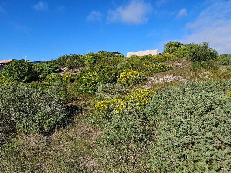 Close to Nature - Photo 10