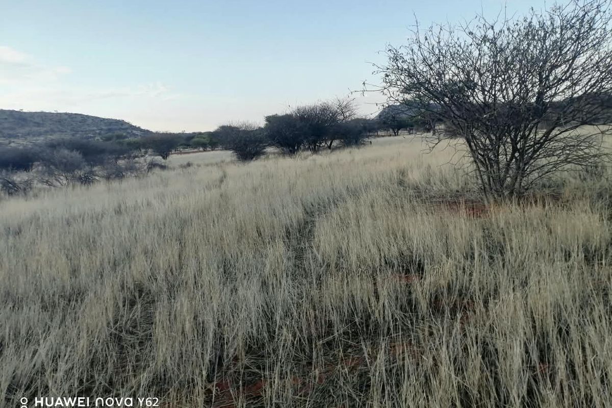A view of the open agricultural land featuring natural grass and scattered trees under a clear sky.