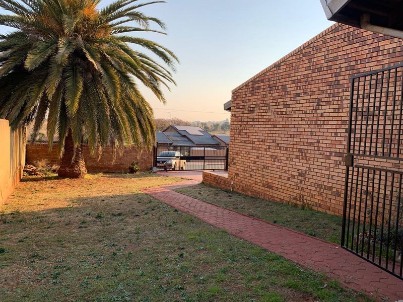 A view of the rear garden area featuring a paved walkway, brick exterior wall, and a large palm tree.