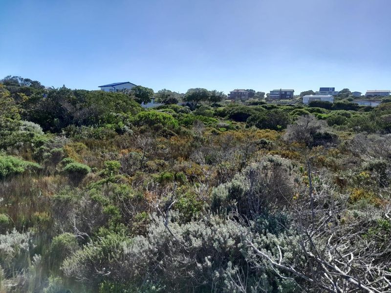 Business Opportunity in a Prime Position - Photo 10