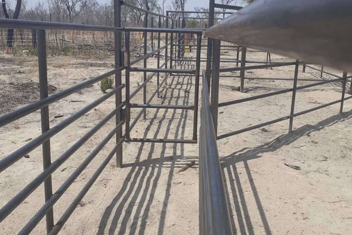 Khaudum Farm For Sale - Photo 4