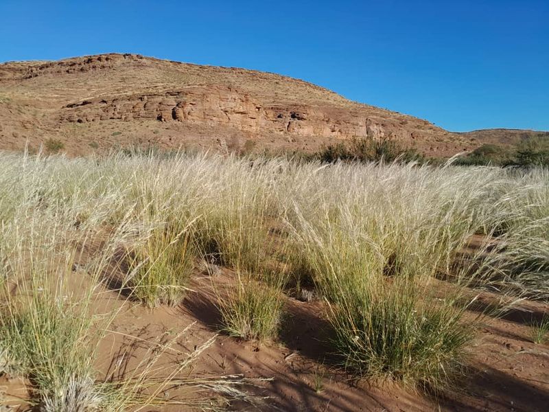IDEAL LIVESTOCK / HUNTING FARM FOR SALE NEAR KEETMANSHOOP - NAMIBIA - Photo 8