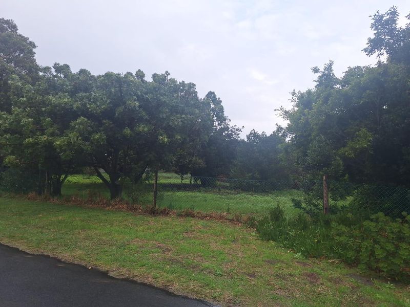 Spacious 2180m2 Plot with Mountain Views in the Mountain Avenues of Kleinmond. - Photo 5