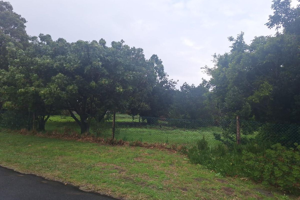 Spacious 2180m2 Plot with Mountain Views in the Mountain Avenues of Kleinmond. - Photo 5