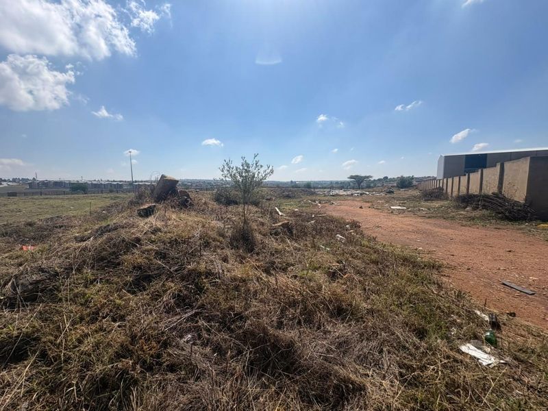 A vacant commercial land plot featuring a dirt access road and perimeter walling, currently covered in overgrown vegetation and debris.