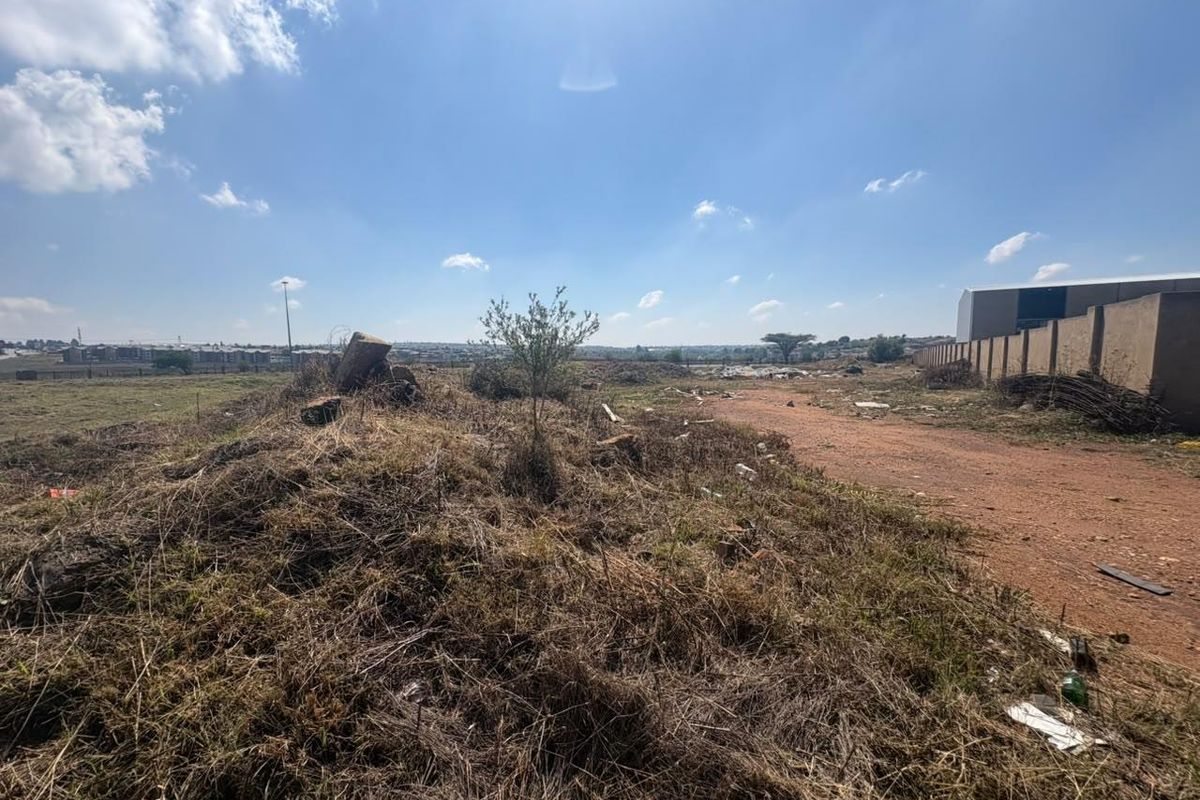 A vacant commercial land plot featuring a dirt access road and perimeter walling, currently covered in overgrown vegetation and debris.