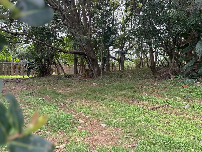 A view of a residential plot featuring mature trees and established perimeter fencing, offering a natural setting for potential development.