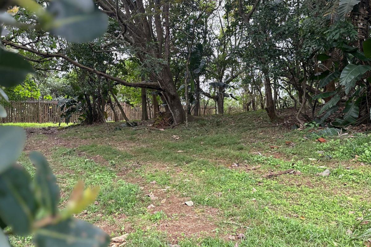 A view of a residential plot featuring mature trees and established perimeter fencing, offering a natural setting for potential development.