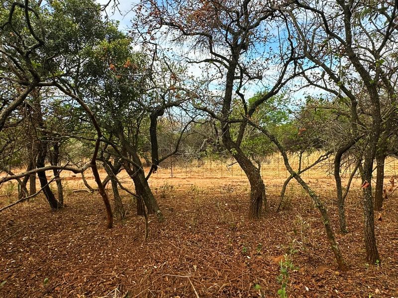 Vacant Stand for Sale in Kampersrus - Photo 5