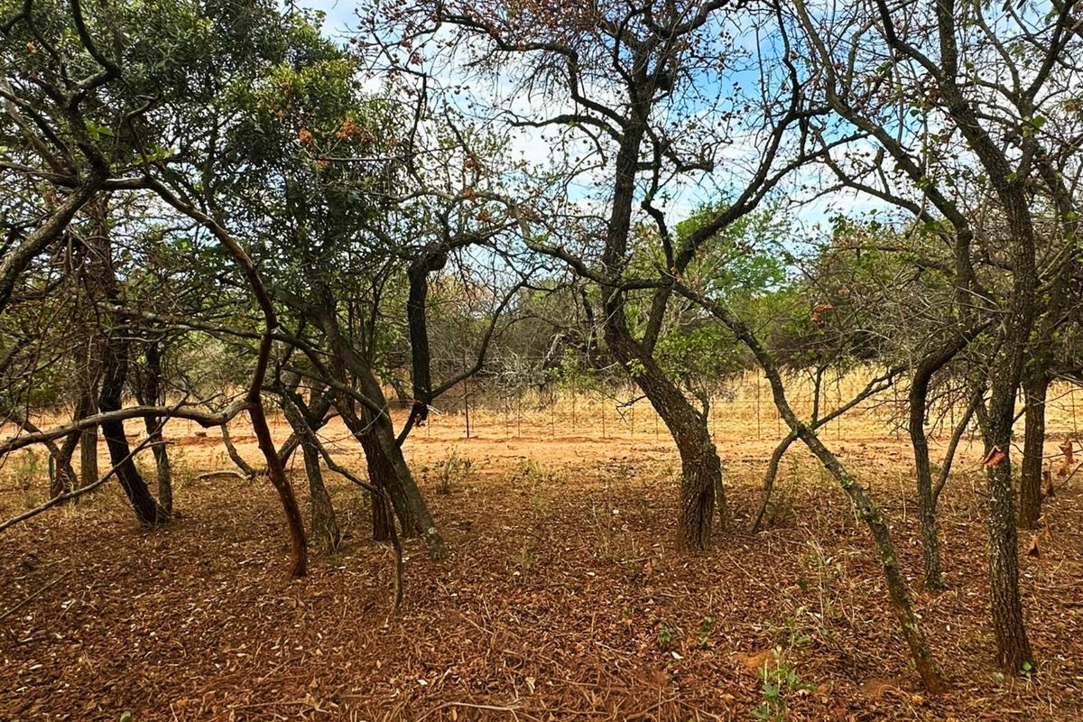 Vacant Stand for Sale in Kampersrus - Photo 5