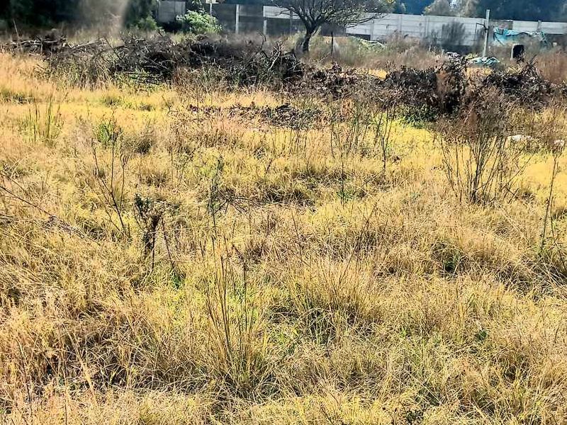 Farm land - Photo 1