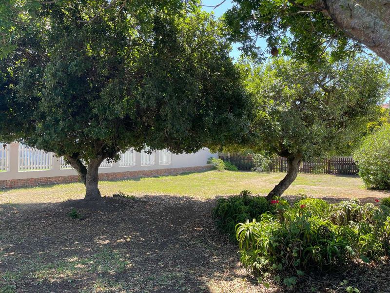 Coastal Vacant Stand for Sale – Just 2 Blocks from Kusweg, Tergniet - Photo 4