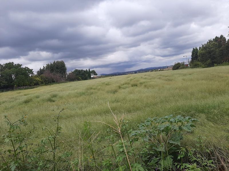 5.7 HA AGRICULTURAL BEAUTIFUL VACANT PLOTS NEXT TO EACH OTHER - Photo 4