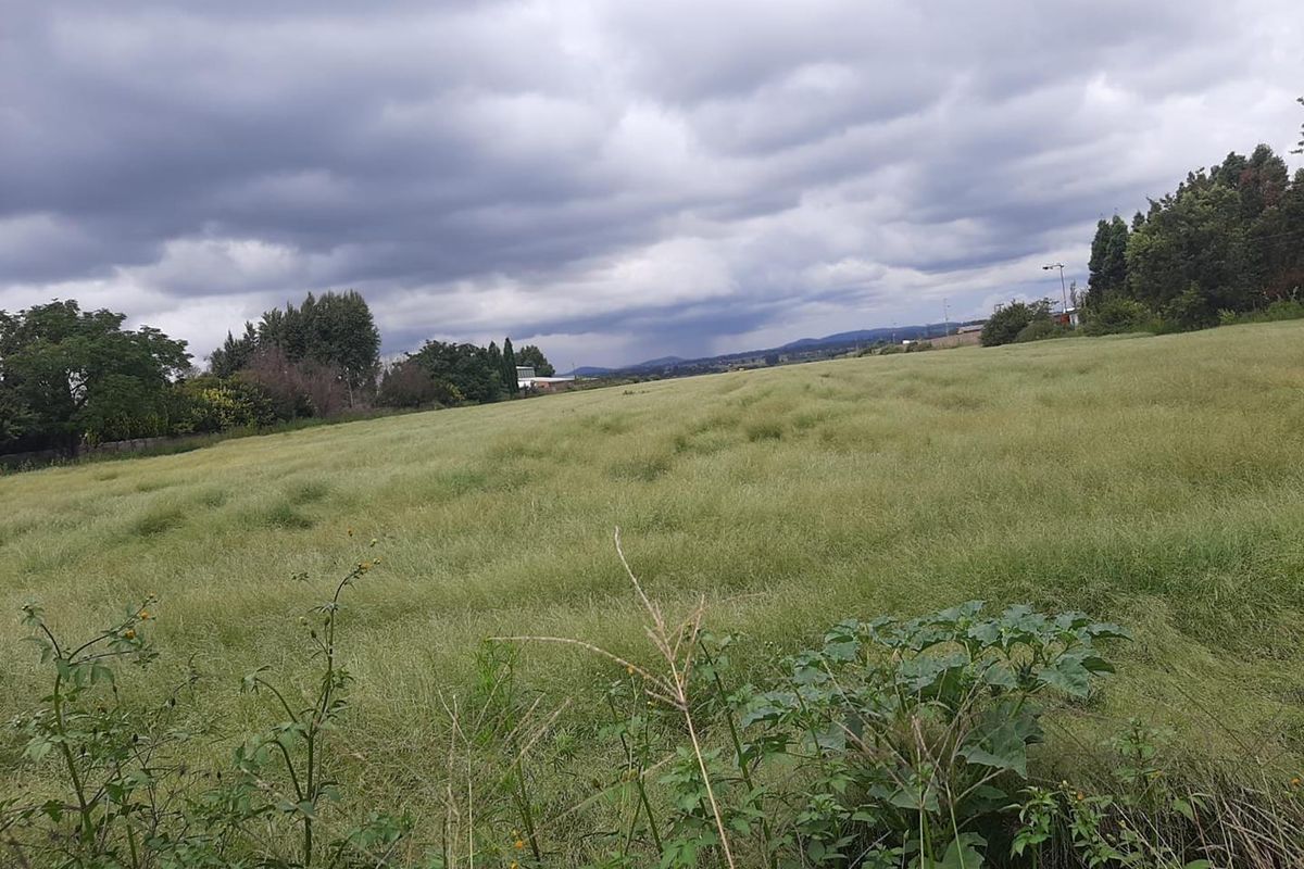 5.7 HA AGRICULTURAL BEAUTIFUL VACANT PLOTS NEXT TO EACH OTHER - Photo 4