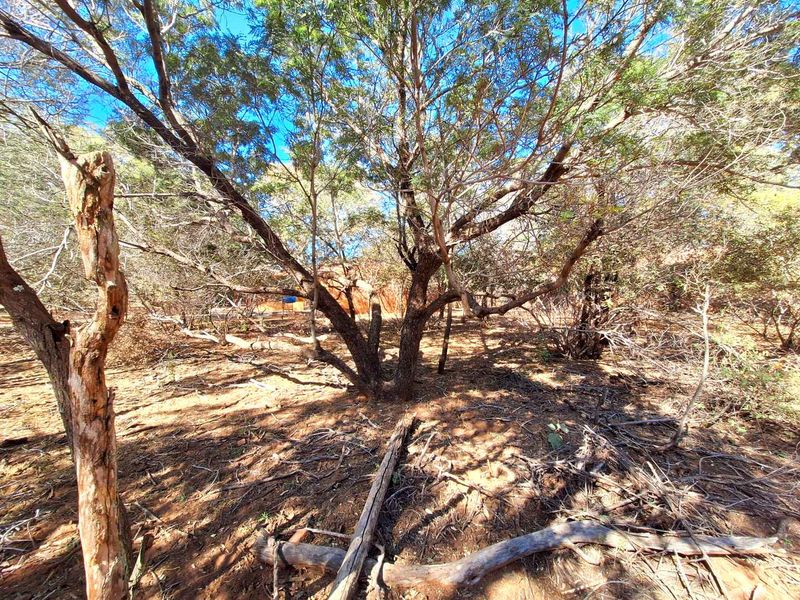 500m2 Stand in Prime Location - Photo 4