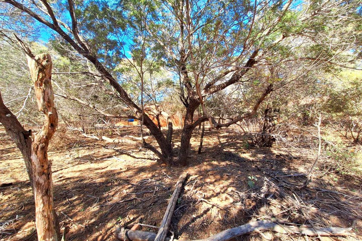 500m2 Stand in Prime Location - Photo 4