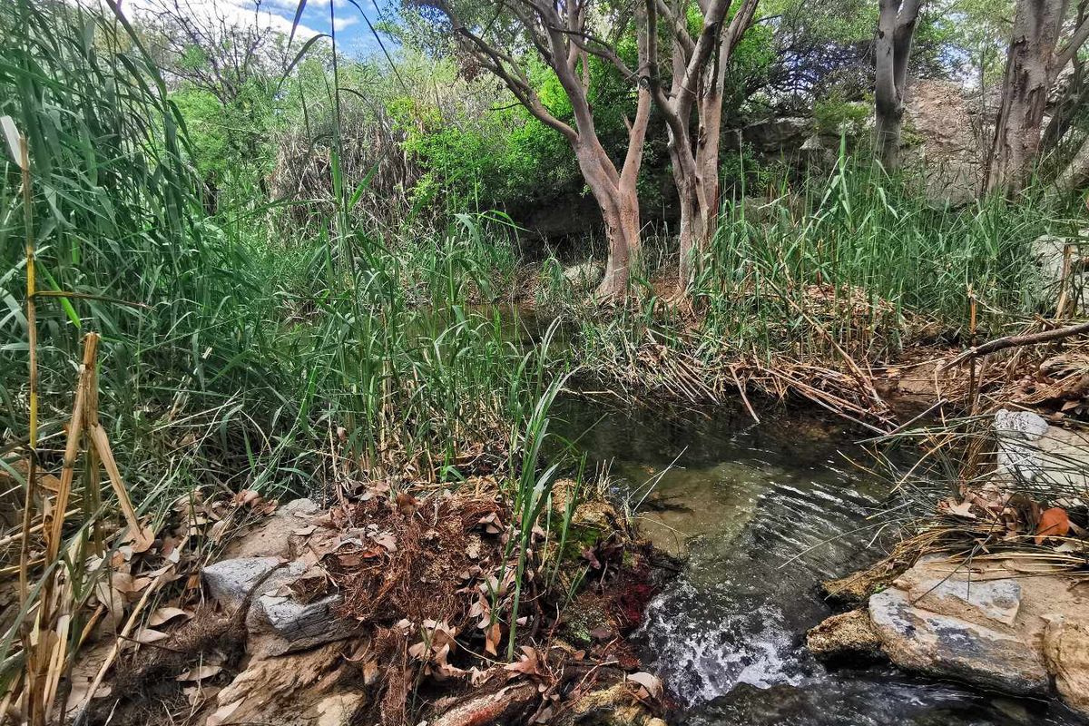 GAME, AGRICULTURAL FARM FOR SALE IN OUTJO AREA - Photo 5