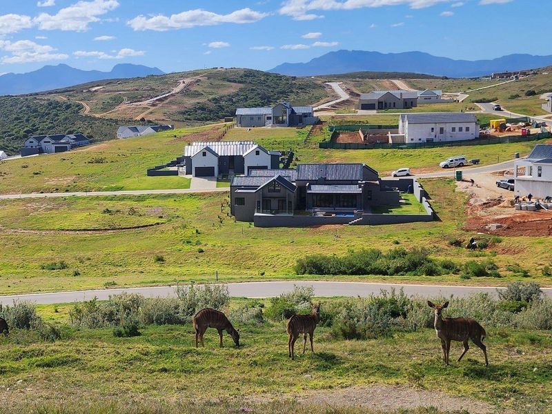 Large family home in Wildlife Estate - Photo 10