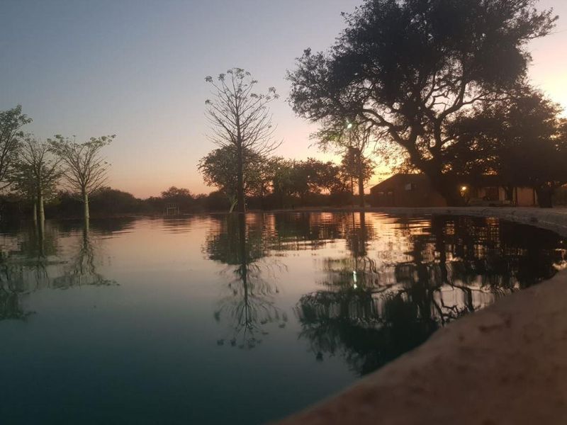 A serene outdoor swimming pool area set against a natural landscape at sunset, featuring mature trees and a tranquil atmosphere.