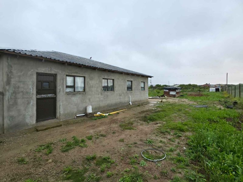 Rear view of a single-story house featuring unpainted cement plaster walls, corrugated metal roofing, and metal window frames set on a large, undeveloped plot.