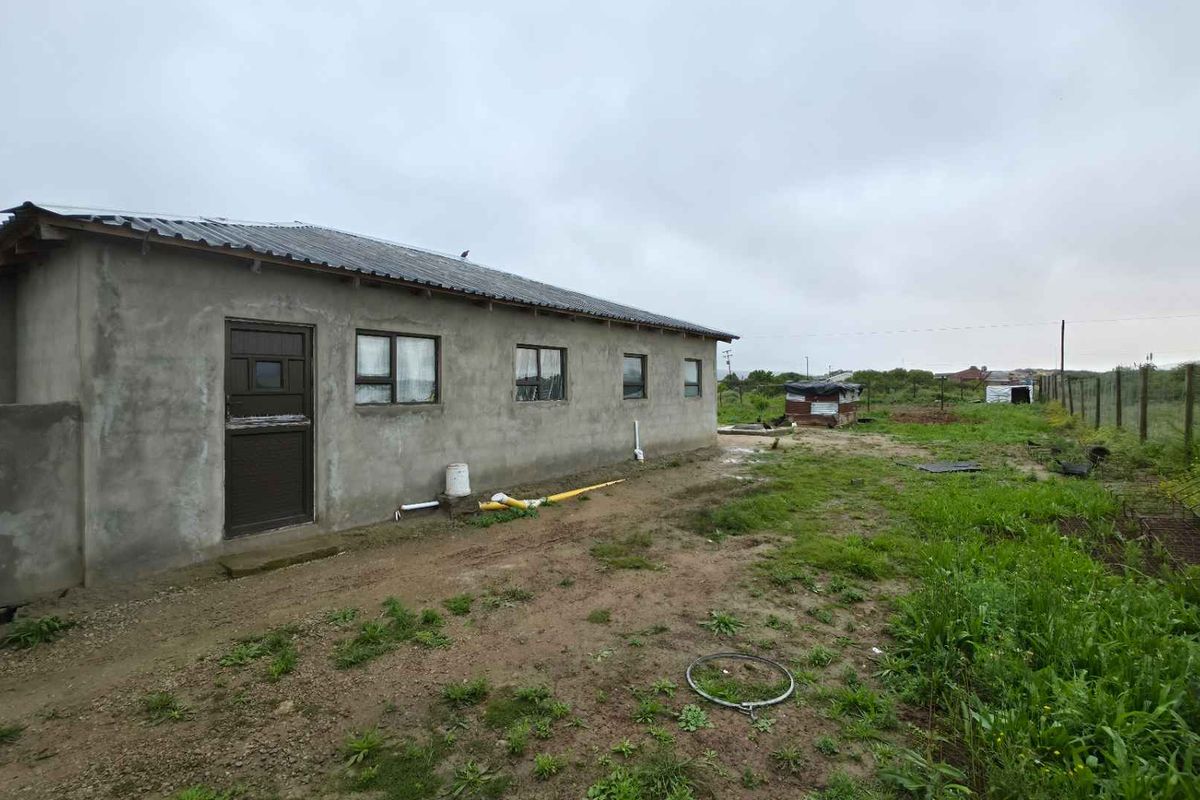 Rear view of a single-story house featuring unpainted cement plaster walls, corrugated metal roofing, and metal window frames set on a large, undeveloped plot.