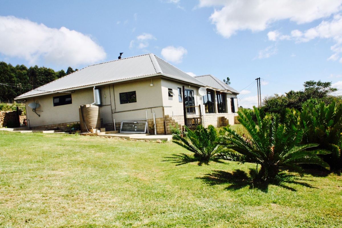 Rear view of a farm-style residence featuring a metal roof, exterior water tank, and a spacious surrounding lawn with established landscaping.
