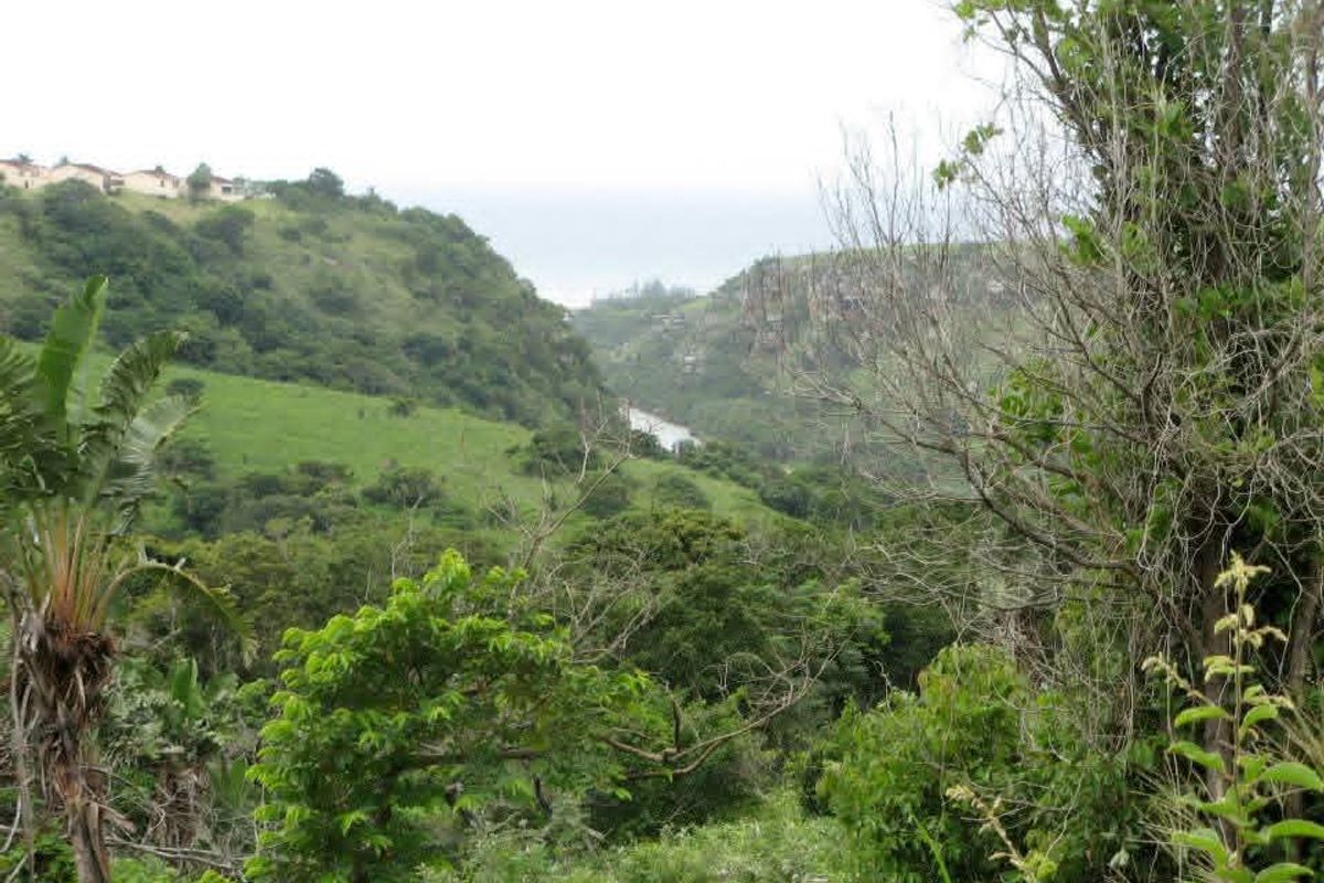 A scenic view of a lush green valley and natural landscape, showcasing the tranquil surroundings of the vacant residential land.