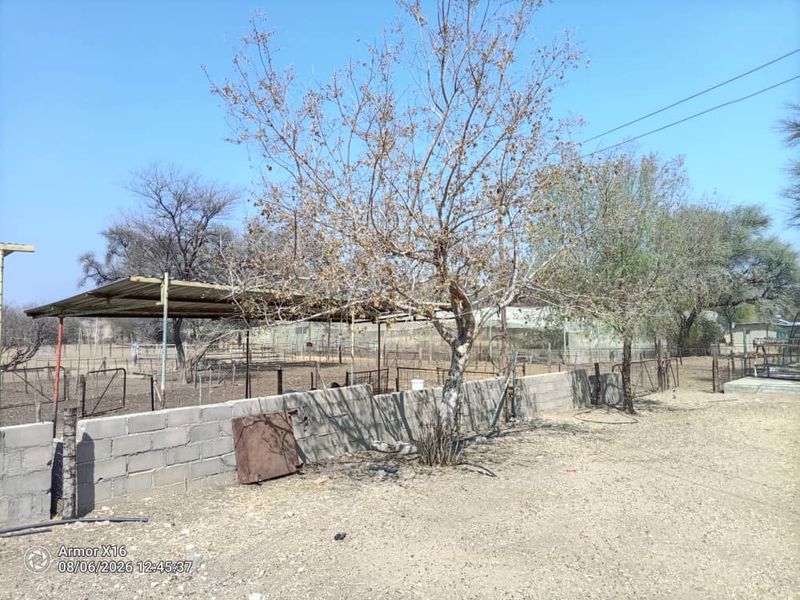 Outdoor area featuring a metal-roofed structure, wire fencing, and cinder block boundary walls on a small holding property.
