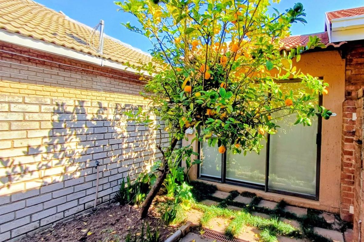 A rear courtyard area featuring a mature citrus tree, brick walling, tiled roof sections, and paved flooring with sliding door access to the home.