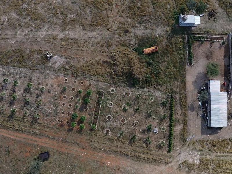 Aerial view of the farm property featuring multiple metal-roofed structures, a water tank, and an established orchard area with dirt access paths.