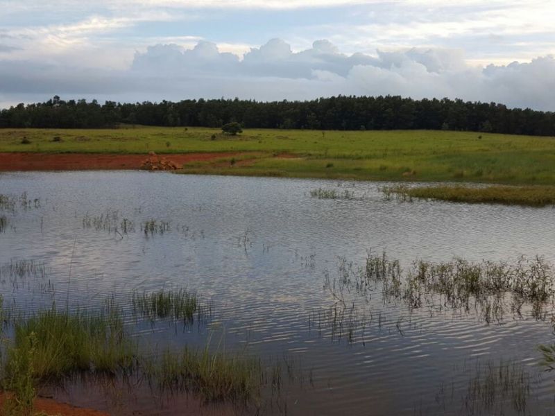 Farm for Sale - Photo 9