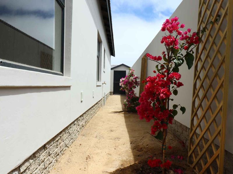 A side walkway featuring plastered walls with stone cladding, a wooden trellis, and established bougainvillea plants leading to a rear gate.