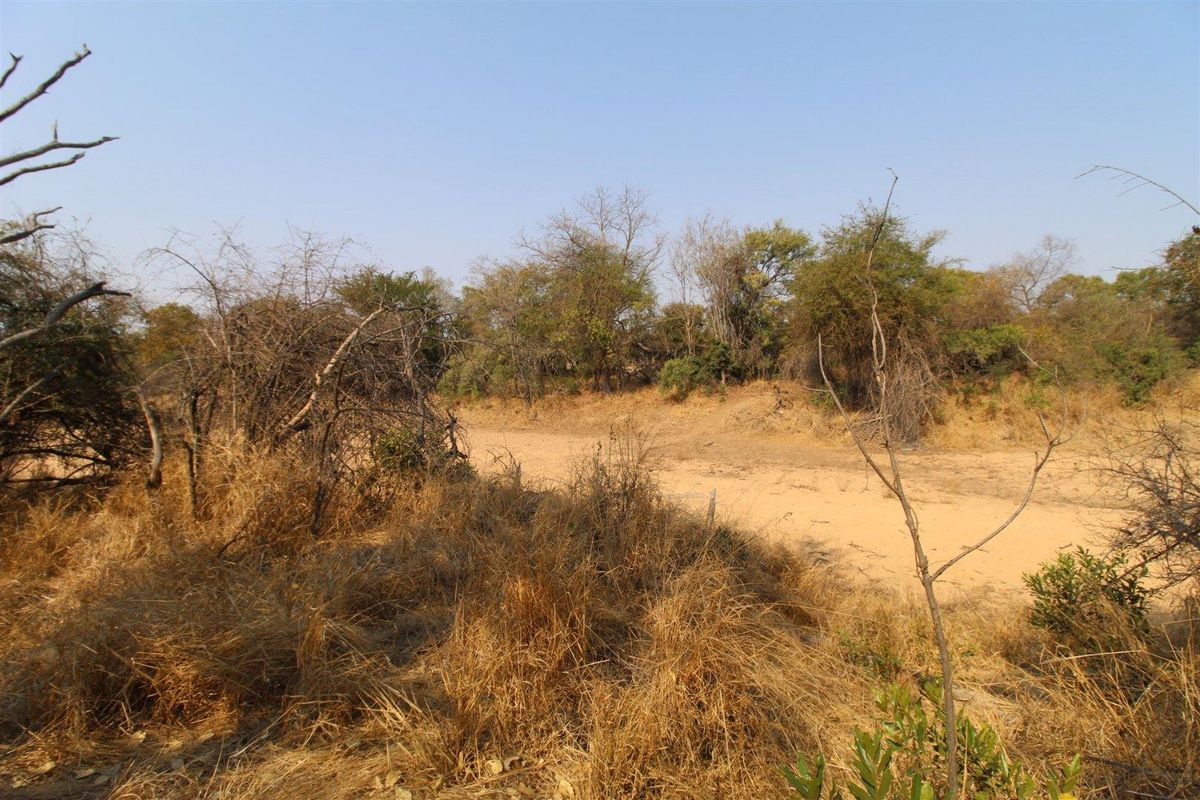 River front stand - Photo 2