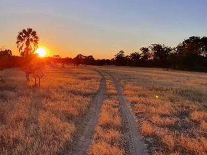 Own a Profitable Game farm in Scenic Grootfontein! - Photo 3