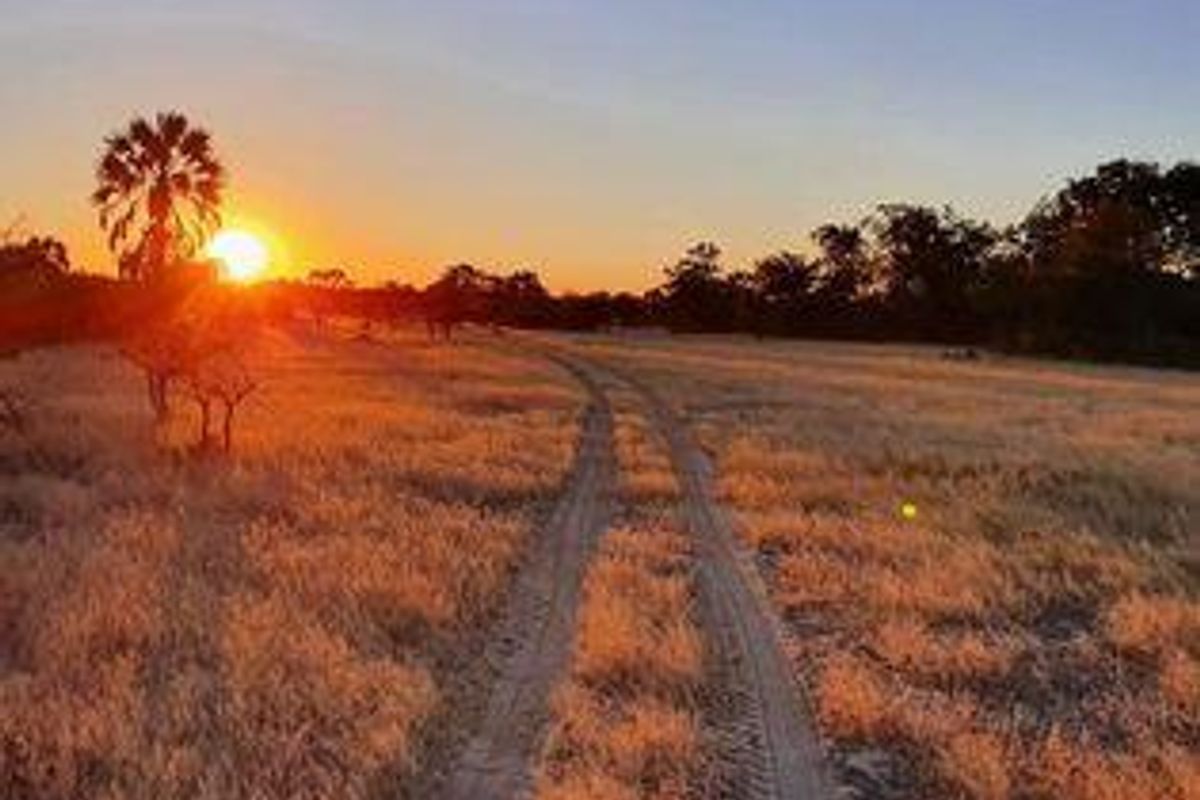 Own a Profitable Game farm in Scenic Grootfontein! - Photo 3