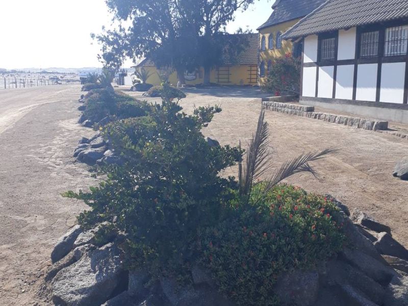 Beautiful Income Generating Farm in Municipal Area - Photo 9