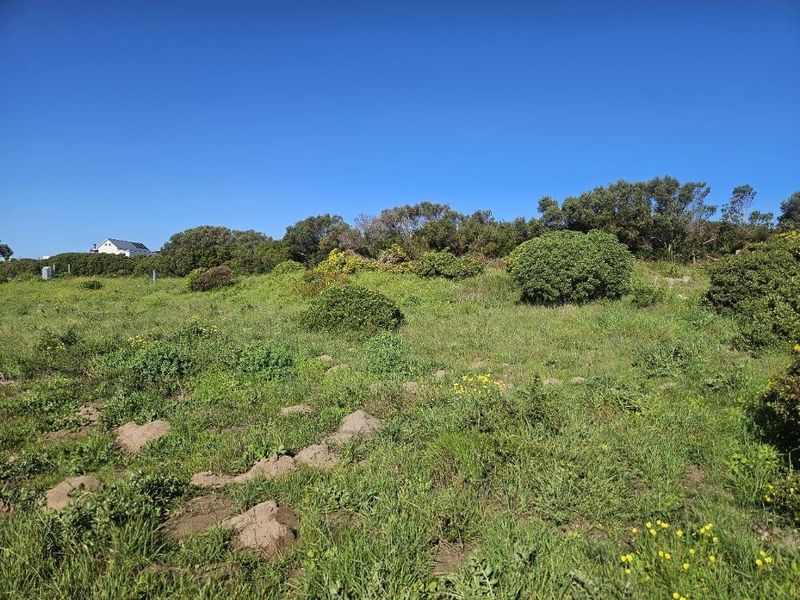 A view of the vacant commercial land featuring natural vegetation and indigenous shrubs under a clear blue sky.