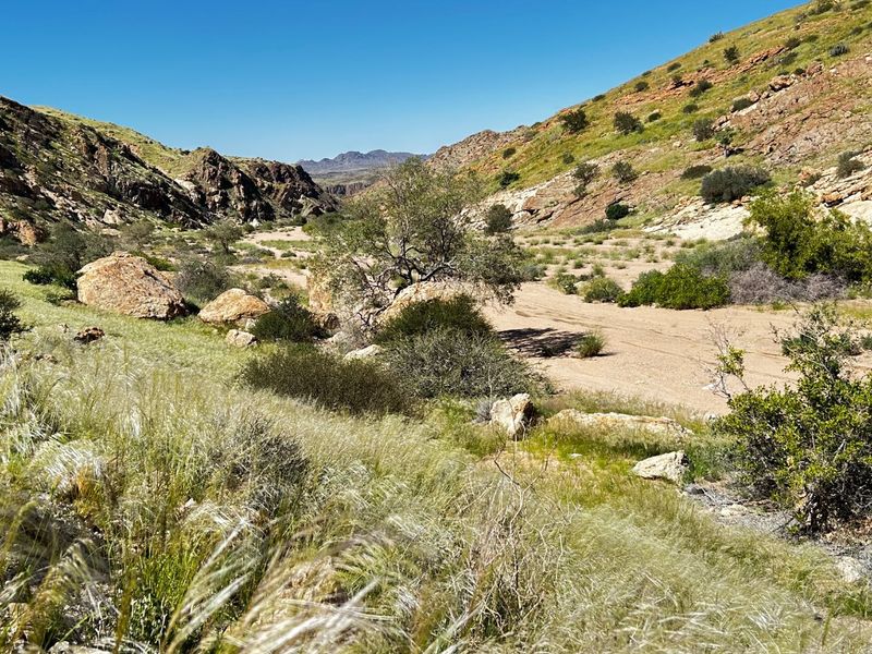 The Beauty of the Namib - Photo 10