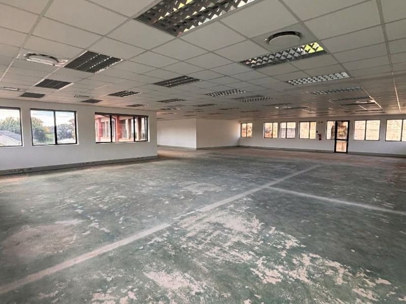 Spacious open-plan office area featuring a suspended ceiling with recessed lighting, large windows providing natural light, and unfinished concrete flooring ready for customization.